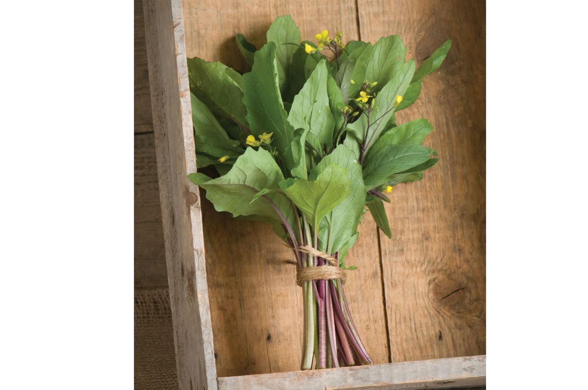 Hon Tsai Tai – Asian Green Seed